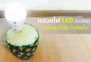หลอดไฟ LED อัจฉริยะ ปักในผลไม้ปุ๊บ ไฟติดปั๊บ