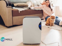 เครื่องฟอกอากาศ จำเป็นไหมในชีวิตประจำวัน